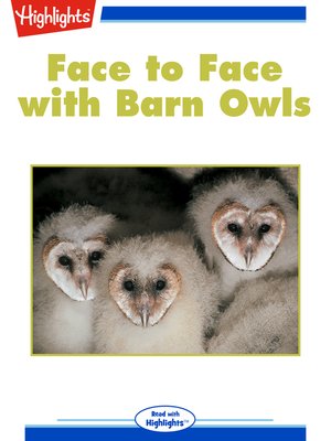 cover image of Face to Face with Barn Owls